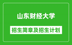 山东财经大学2025年招生简章_各省高考招生计划人数一览表