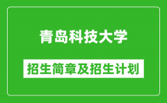 青岛科技大学2025年招生简章_各省高考招生计划人数一览表