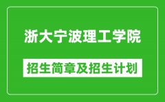 浙大宁波理工学院2025年招生简章_各省高考招生计划人数一览表