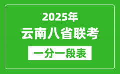 2025年云南八省联考一分一段表_成绩分数段统计表